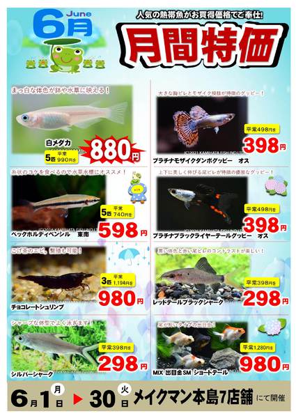 2026年6月1〜30日まで6月熱帯魚月間-1