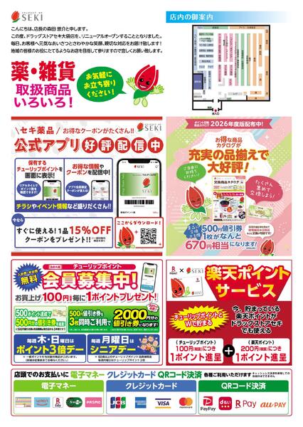 7月2日～7月3日セキ薬品大袋店ポイント5倍リニューアルOP B4チラシ-2