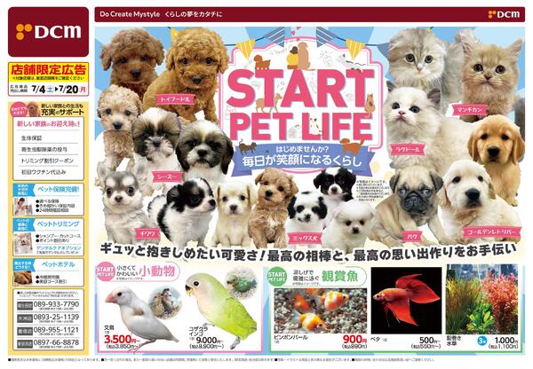 START PET LIFE はじめませんか？毎日が笑顔になるくらし（7月4日～7月20日）-1