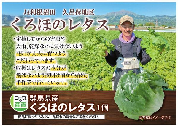 【もっと伝えたい！】くろほのレタスnew-1
