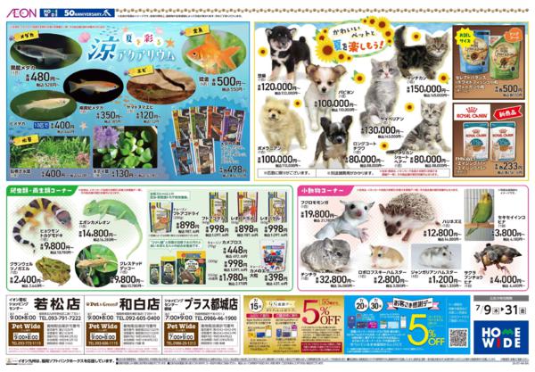 ７月９日（木）～７月３１日（金）-2