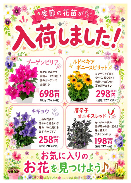 ムサシ須坂店おススメ情報!6月29日～7月5日new-1