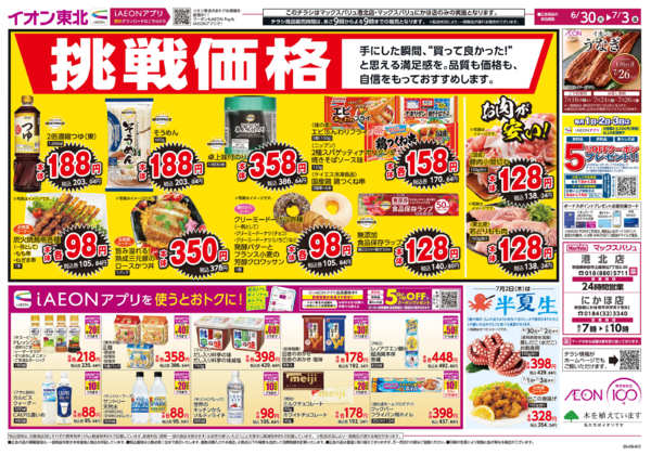 2026年6月30日〜7月3日まで挑戦価格！-1