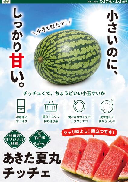 今日のチラシ-2