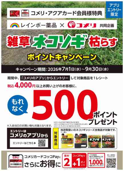 2026年7月27日〜8月31日までネコソギキャンペーンnew-1