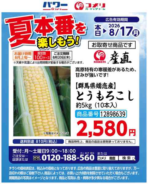 2026年7月28日〜8月17日まで夏本番を楽しもう　トウモロコシnew-1