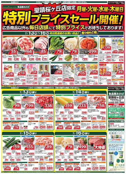 レギュラーチラシnew-1