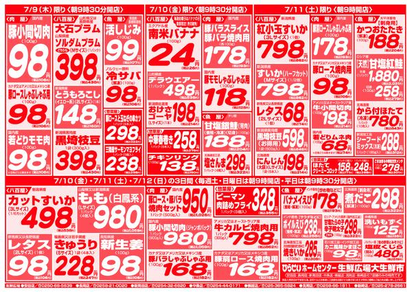 最新チラシnew-3