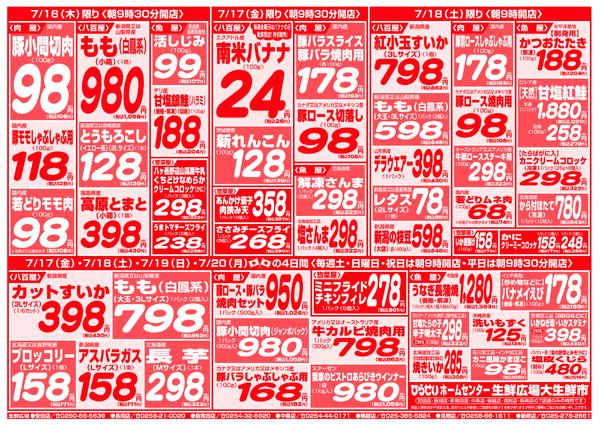 最新チラシ-3