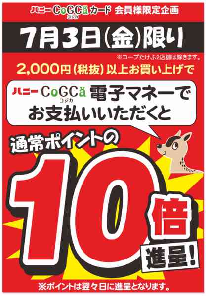 2026年7月3日限りコジカ払いでポイント１０倍進呈new-1