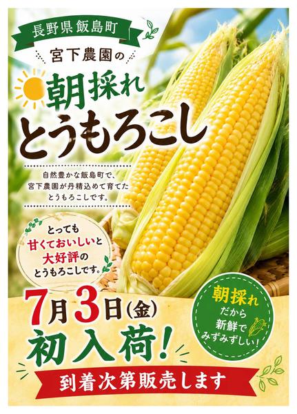 2026年6月30日〜7月3日まで7月3日（金）初入荷！-1