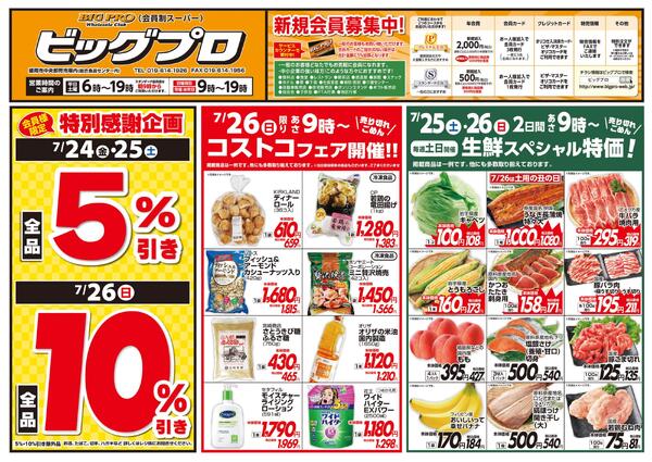 ビッグプロnew-1