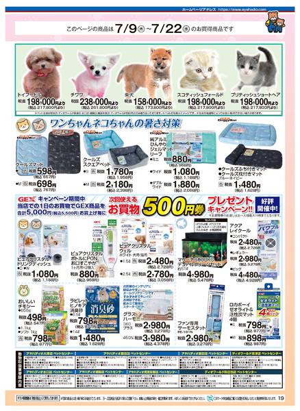 2026年7月16日〜22日までアヤカ会員様特別ご優待会-19