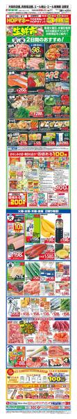 WEB限定 7/28（火）～生鮮市new-1
