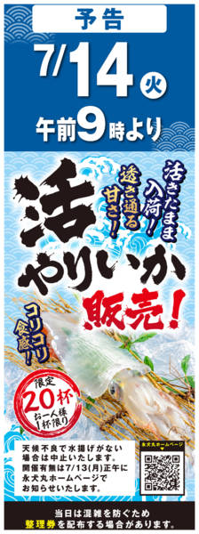 2026年7月10日〜14日まで活やりいか販売!new-1