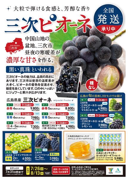 三次ピオーネ 全国発送承り中-1