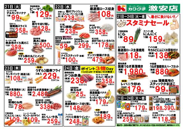 最新チラシnew-2