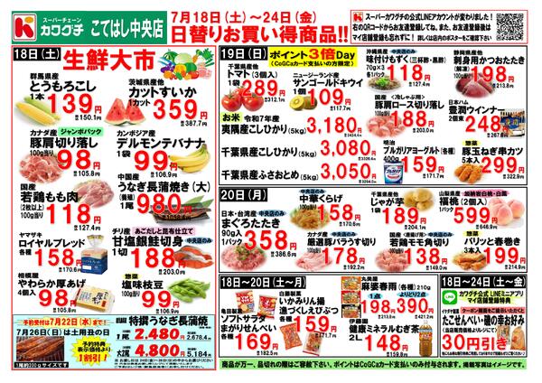 最新チラシnew-1