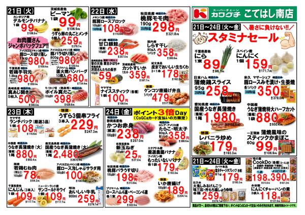 最新チラシnew-2