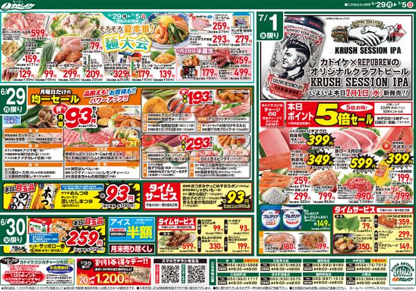 レギュラーチラシ-1