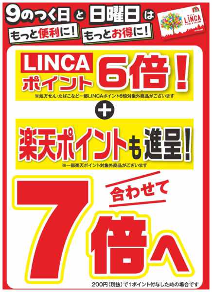 2026年8月19日限り本日ポイントデー！new-1