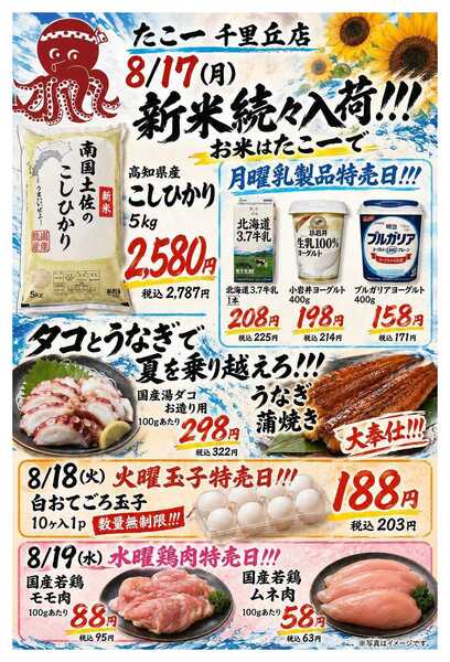 たこ一new-3