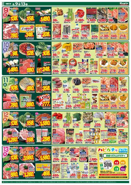 最新チラシ-2