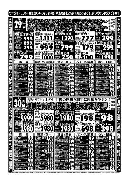 最新チラシnew-1
