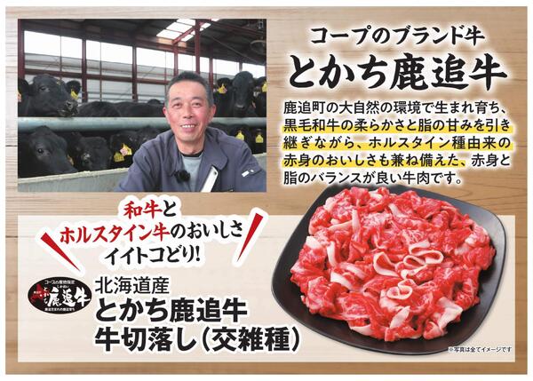 【もっと伝えたい！】とかち鹿追牛-1