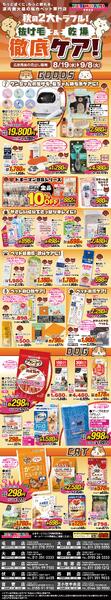 8月19日～9月8日-1