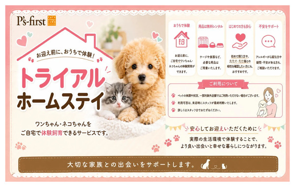 ムサシ須坂店おススメ情報!8月4日～8月23日-1
