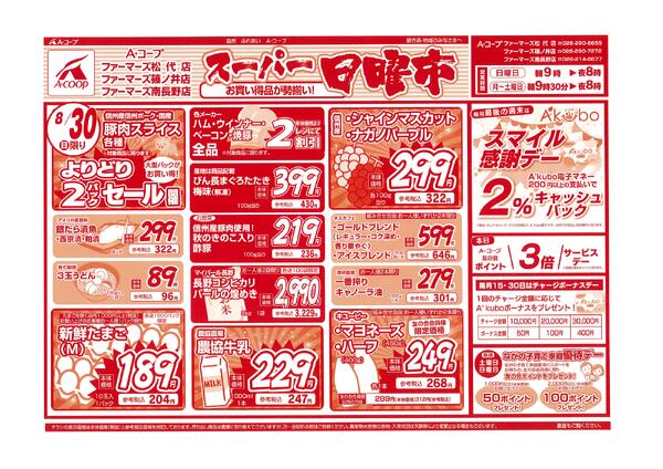 限定チラシnew-1