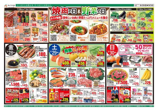 8月28日～9月03日-1