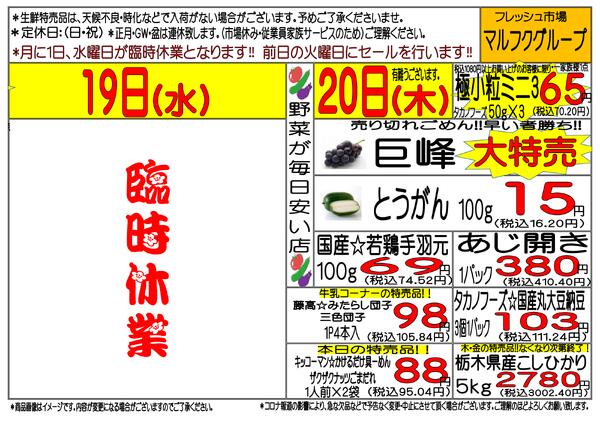 8月17日(月)～8月22日(土)　週間特売-2