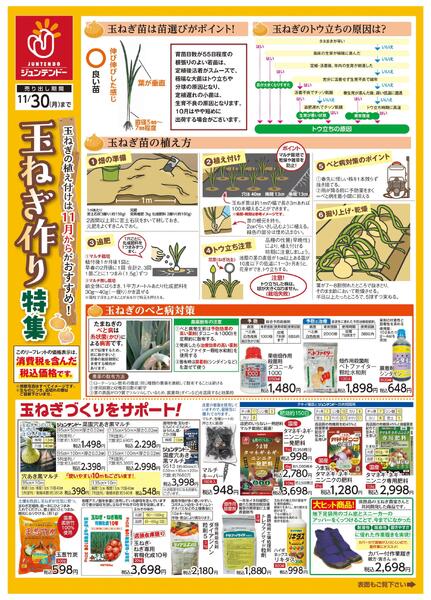 玉ねぎ特集new-2