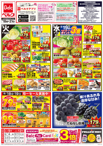 8/18号-1