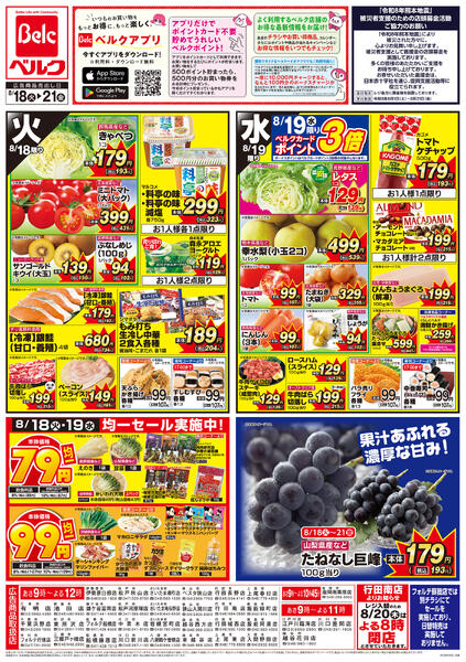 8/18号-2