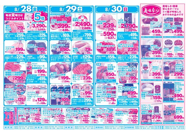 最新チラシ-2
