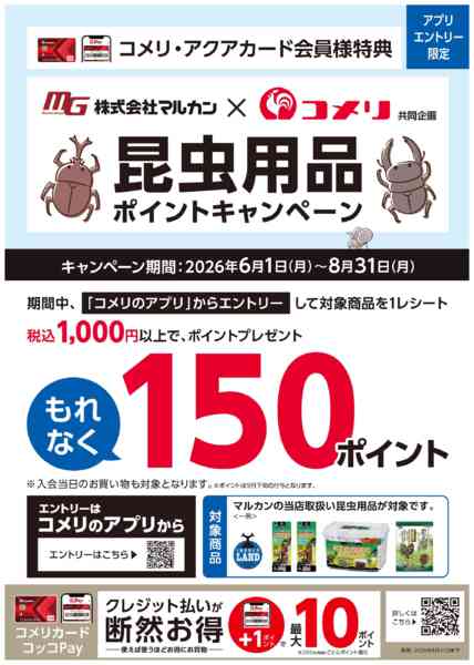 2026年6月5日〜8月31日までマルカン 昆虫用品ポイントキャンペーン-1