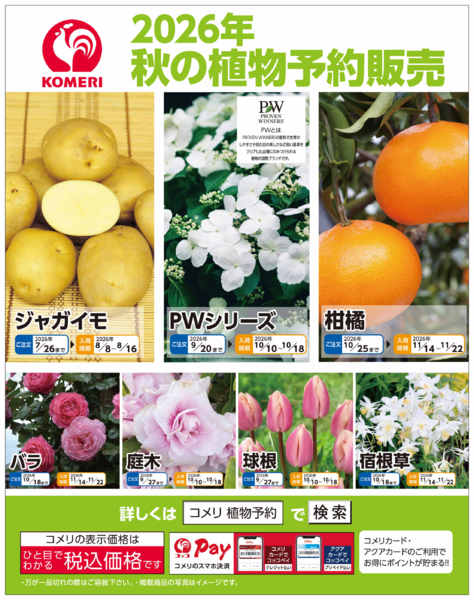 2026年6月20日〜9月30日まで2026年 秋の植物予約販売-1