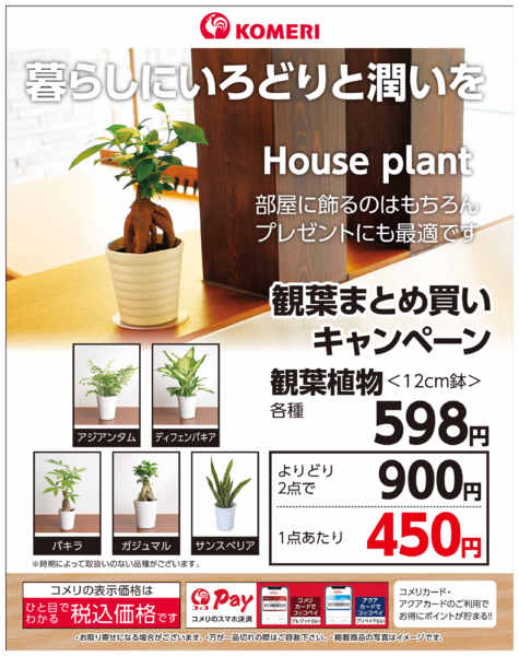 2026年7月23日〜8月9日まで観葉まとめ買いキャンペーン-1