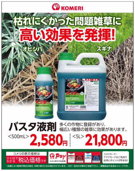 2026年7月24日〜8月31日までバスタ液剤-1