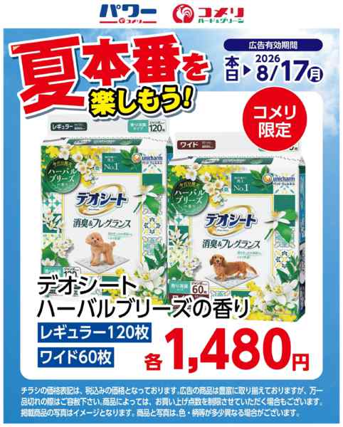 2026年7月26日〜8月17日まで夏本番を楽しもう　デオシート-1