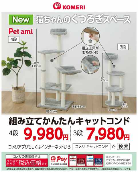 2026年8月2日〜31日まで新商品キャットコンドnew-1