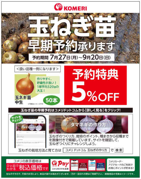 2026年8月22日〜9月20日まで玉ねぎ苗 早期予約承ります-1
