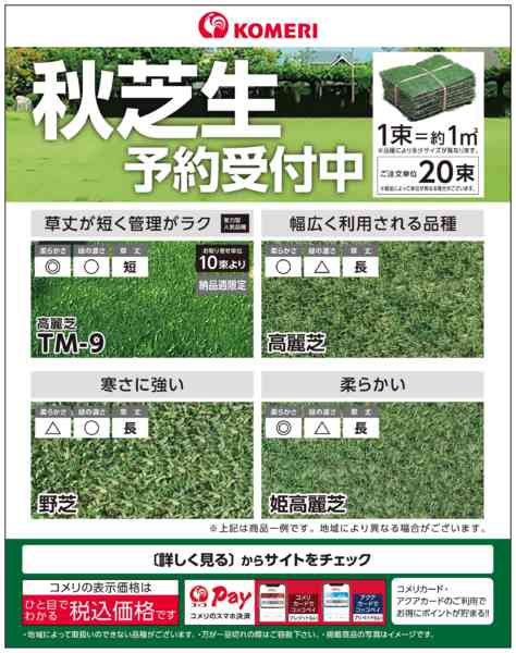 2026年8月31日〜10月31日まで秋芝生 予約受付中new-1