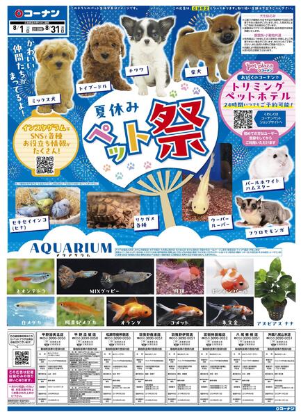 8月1日～8月31日　夏休みペット祭-1