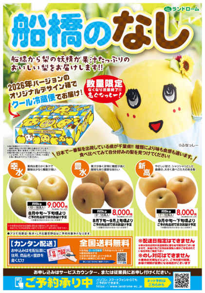 2026年6月1日〜9月5日まで船橋のなし⭐ご予約承り中です！！-1