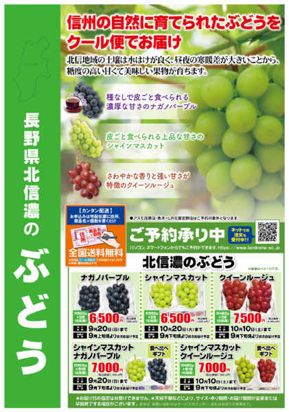 2026年8月1日〜10月20日まで長野県北信濃のぶどう🍇ご予約承り中！-1