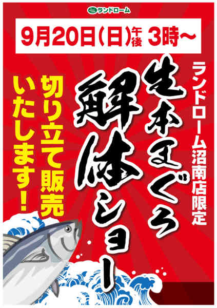 2026年8月10日〜9月20日まで【沼南店】限定🐟マグロ解体ショー開催！-1